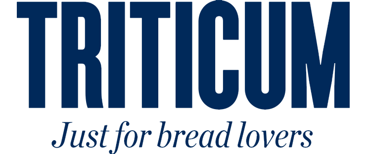 Triticum